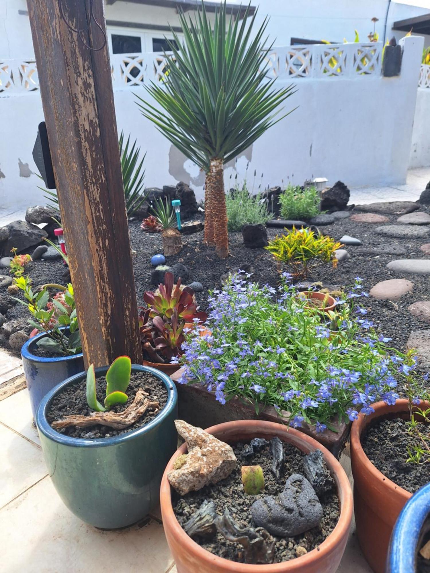 Vila Casita Pequena Lanzarote Teguise  Exteriér fotografie